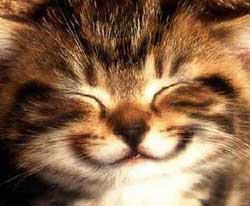 sister won people happy miserable tick em smiling kitty smile sister won people happy miserable tick em smiling kitty smile